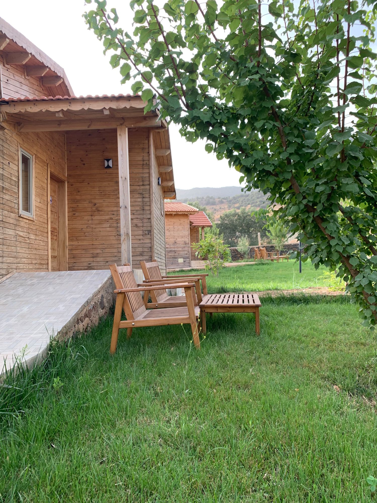 Deux fauteuils en bois devant un chalet, sous un abricotier