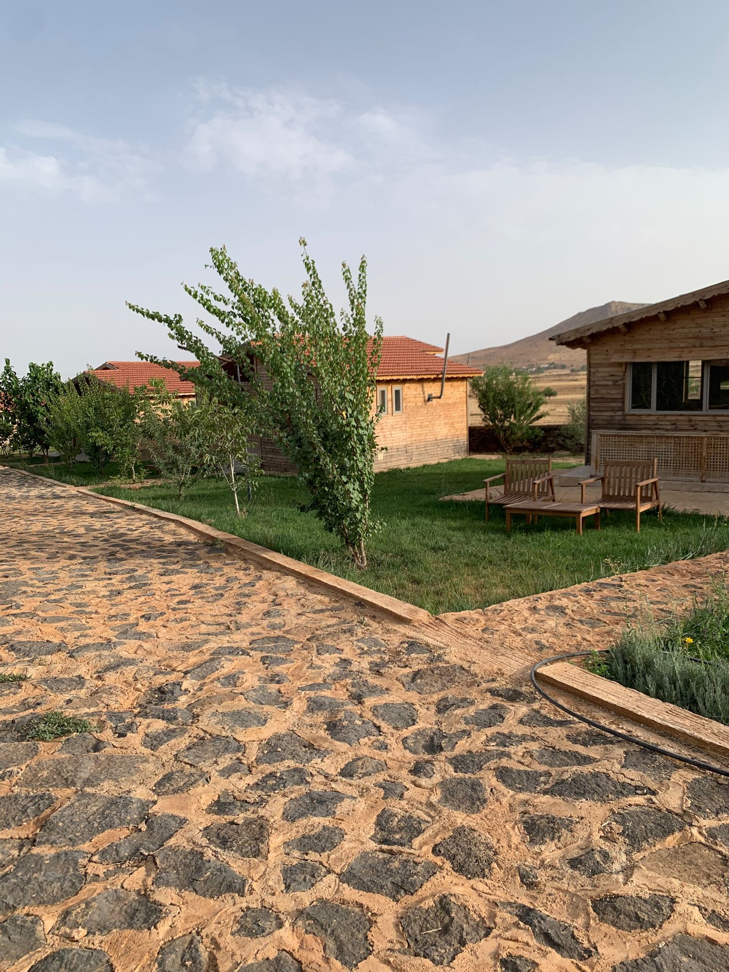 Les chalets en été, pelouse verte et allée pavée
